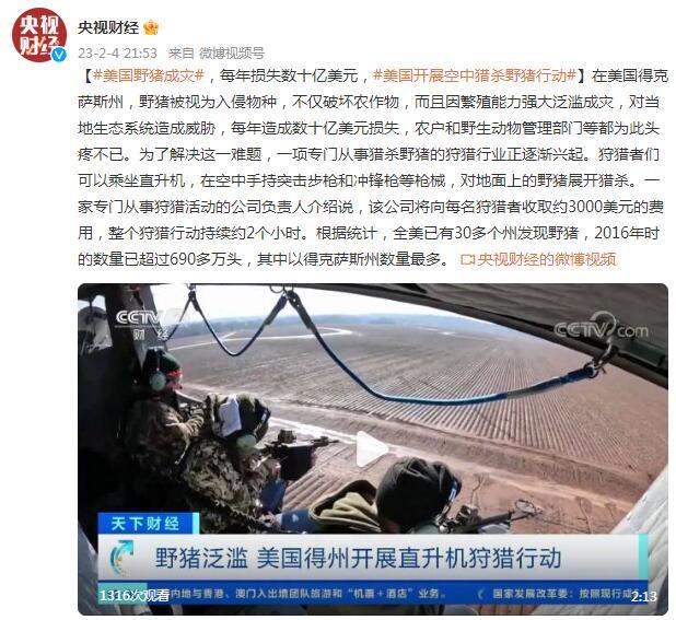 野猪成灾,每年损失数十亿美元,美国开展空中猎杀野猪行动